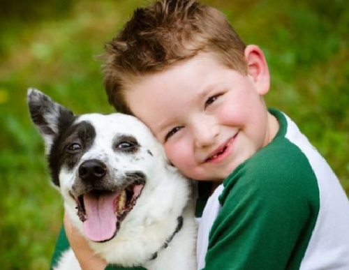 Շների հետ շփման հիմանական կանոնները երեխաների համար